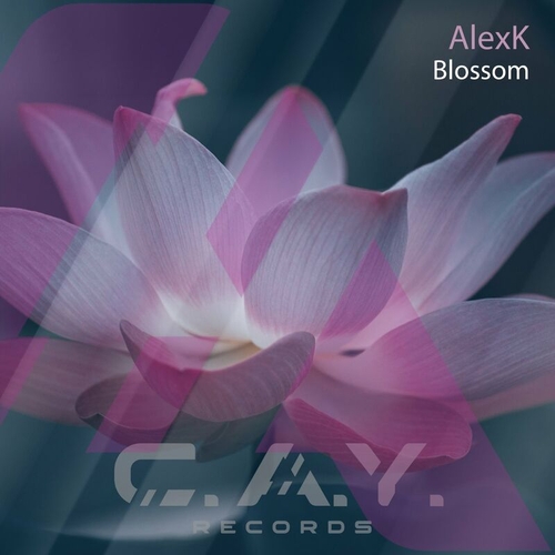 AlexK - Blossom [CAY089]